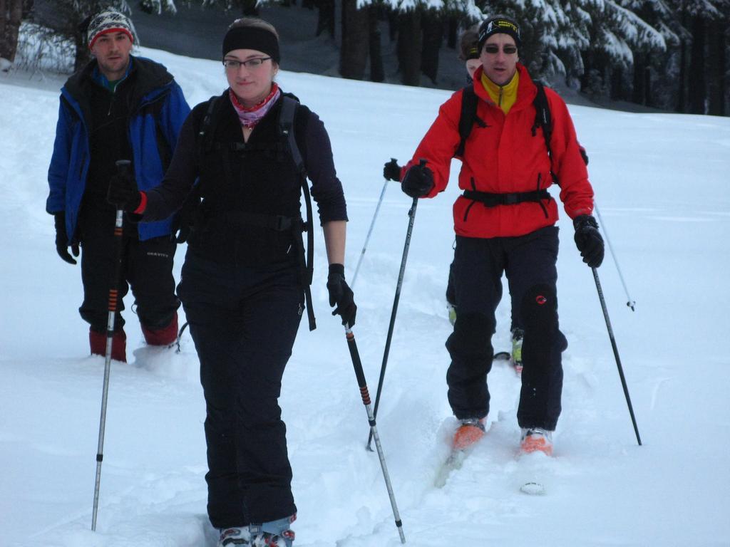 Gasthof Cetatile Ponorului 3*