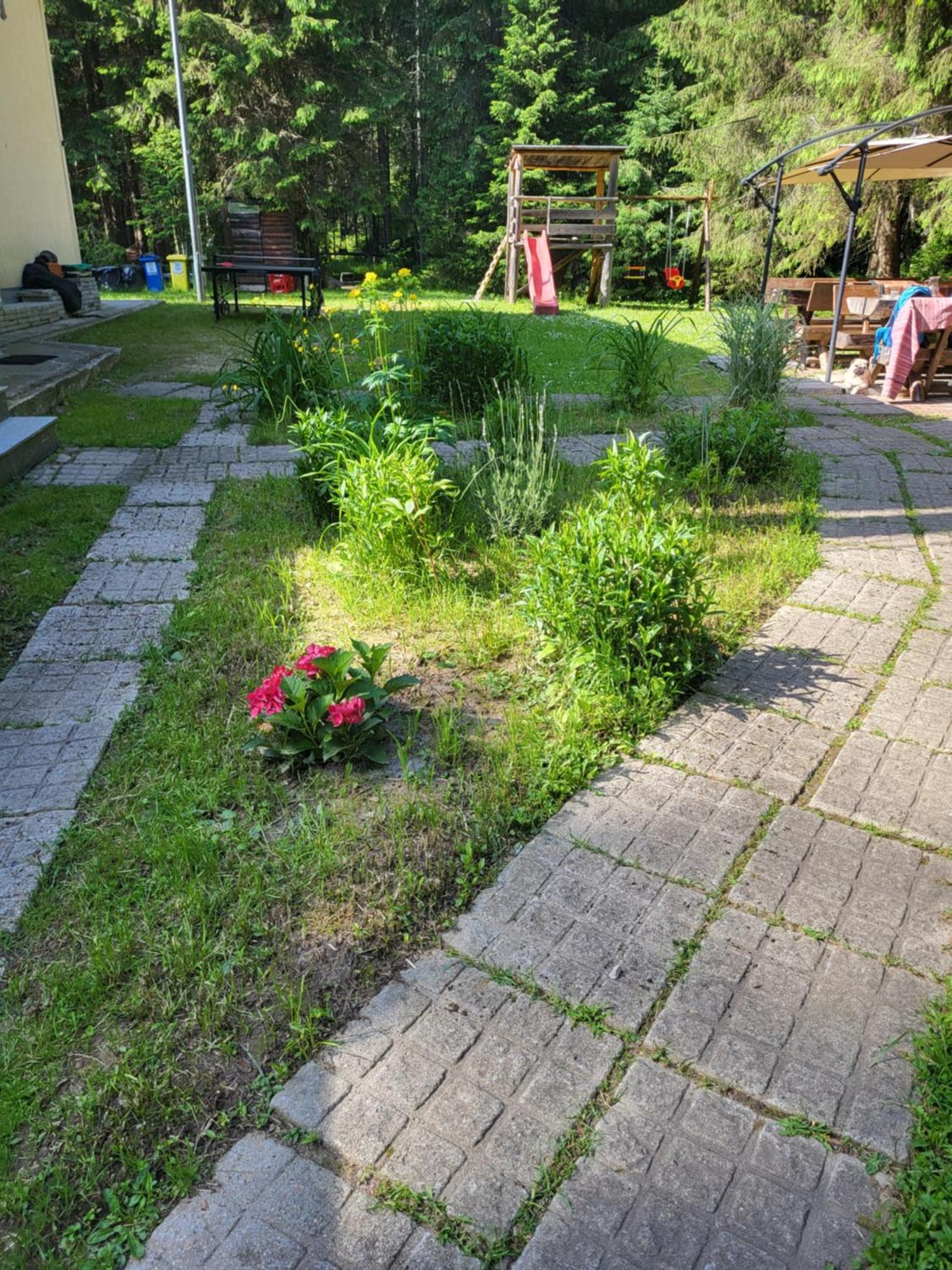 Cetatile Ponorului Gasthof Padis