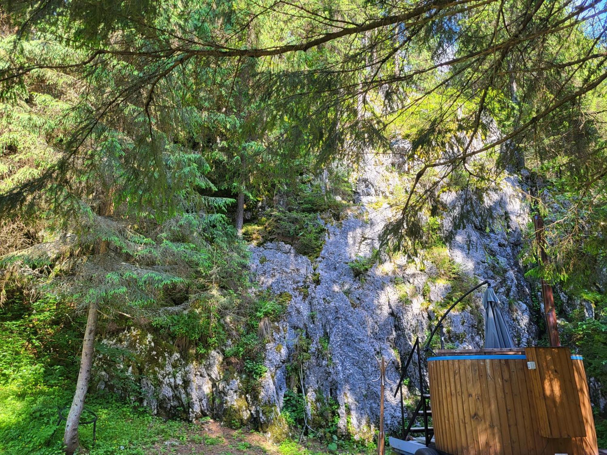 Cetatile Ponorului Gasthof Padis